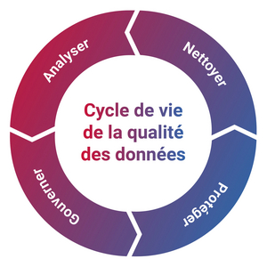 dq-life-cycle-fra.jpg